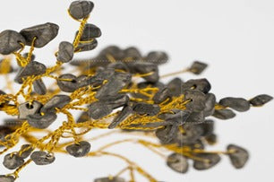 Pyrite Crystal Tree for Wealth & Success – 300 Chip Golden Money Tree for Vastu, Healing & Home Decor (10–12 Inches) | Namami Store