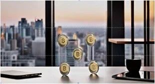Original Pyrite Crypto Coin – Natural Money Magnet for Wealth, Success & Protection | Bitcoin Inspired