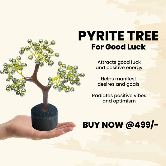 Pyrite Crystal Tree for Wealth & Success – 300 Chip Golden Money Tree for Vastu, Healing & Home Decor (10–12 Inches) | Namami Store